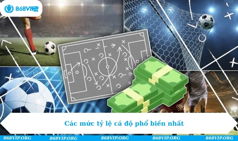Kèo Tài Xỉu | Khám Phá Cách Cược Game Thắng Lớn Có 102 277 Các mức tỷ lệ cá độ phổ biến nhất