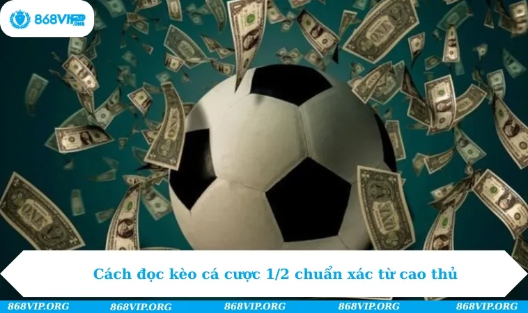 Kèo Chấp 1/2 - Bật Mí Cách Cá Cược Không Bao Giờ Thua 267 Cách đọc kèo cá cược 1/2 chuẩn xác từ cao thủ