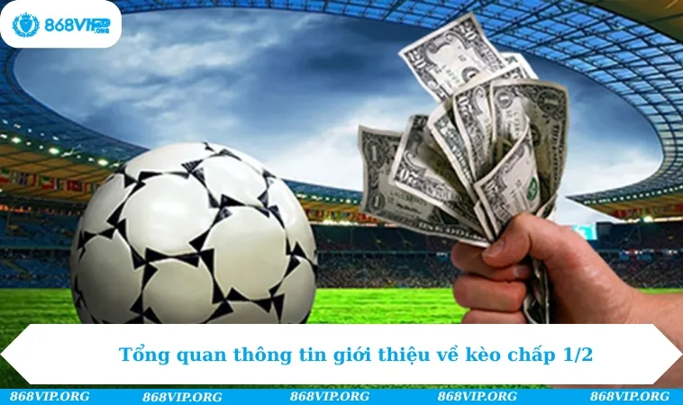 Kèo Chấp 1/2 - Bật Mí Cách Cá Cược Không Bao Giờ Thua 267 Tổng quan thông tin giới thiệu về kèo chấp 1/2